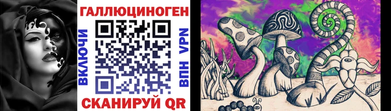 закладка  Клин  Галлюциногенные грибы мицелий 