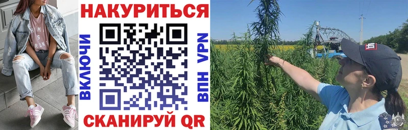 наркошоп Клин Бошки марихуана THC 21%